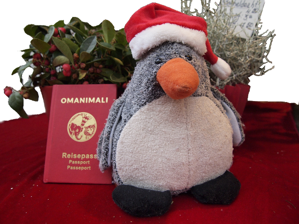 Pingos Nikolaus Gewinnspiel 2014